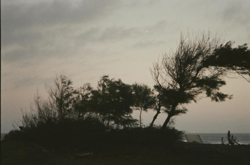 when the wind takes the muse&nbsp;away