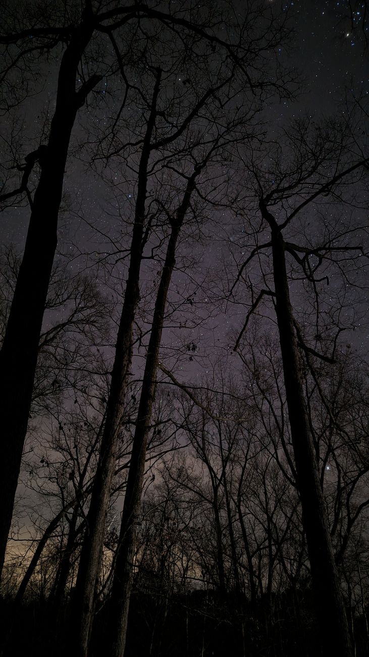 and the stars (poem)